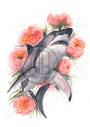 Peony Shark 5x7 or 8x10 Fine Art Print
