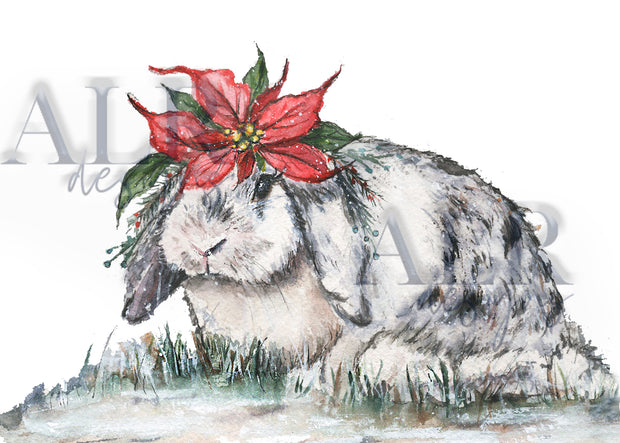 2022 Poinsettia Bunny 5x7 Blank Christmas Greeting Card