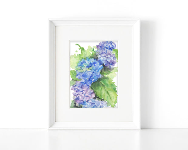 Hydrangea Blooms 5x7 in. Fine Art Print