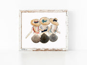 Shell Friends 8x10 or 5x7  Fine Art Print
