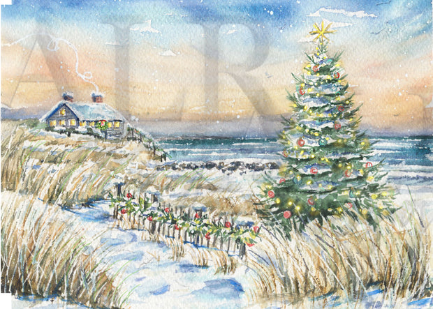 Cape Christmas Greeting Card or Notecard Set
