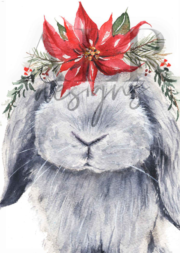 2023 Poinsettia Bunny 5x7 Blank Christmas Greeting Card