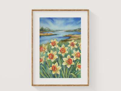 Golden Glow Daffodils