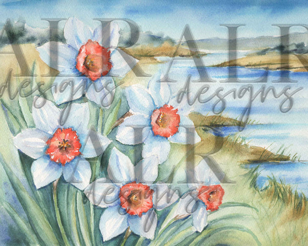 Daffodils by the Sea