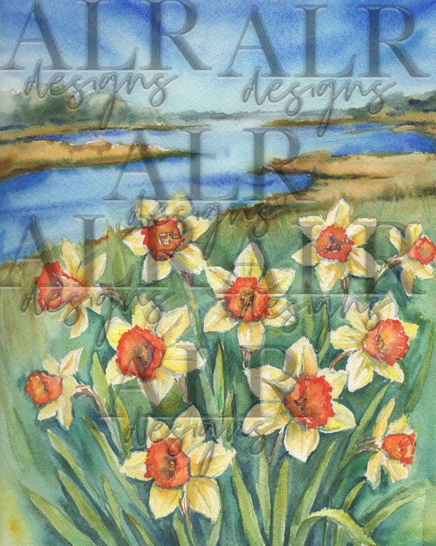 Golden Glow Daffodils