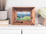 Seaside Daisies 5x7, 8x10, or 11x14 in. Fine Art Print