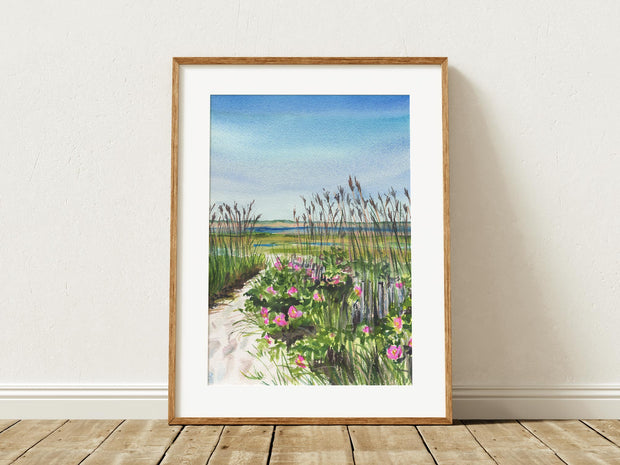 Eastham Summer 5x7, 8x10 or 11x14 in. Fine Art Print