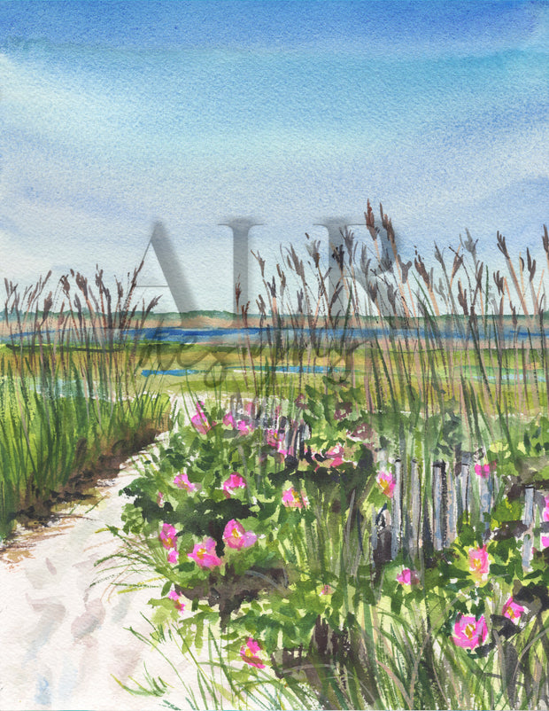 Eastham Summer 5x7 Blank Greeting Card