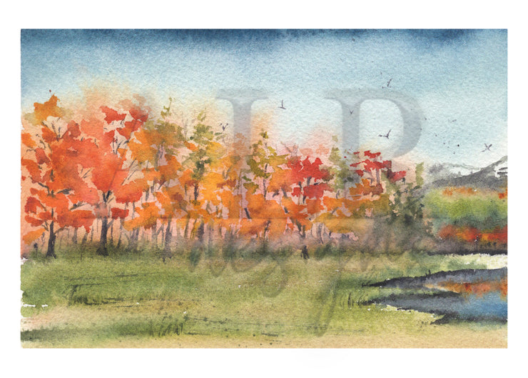 Fall Foliage 5x7 Blank Greeting Card