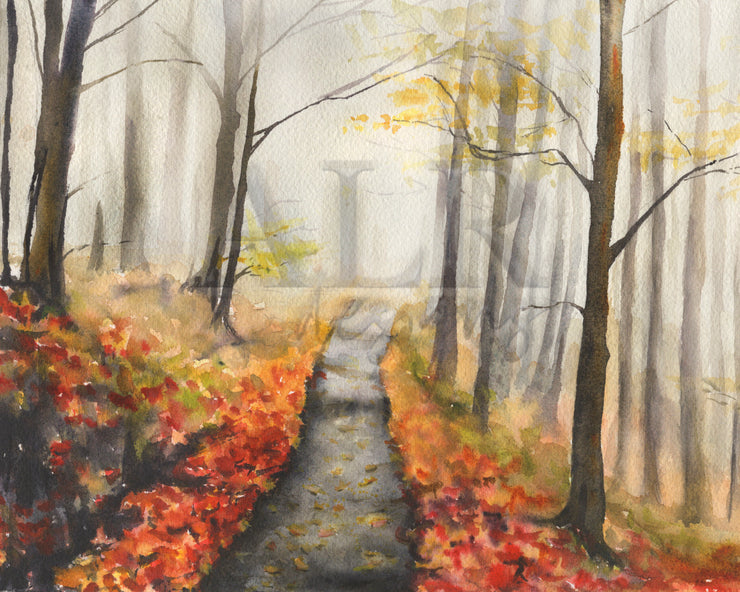 Fall Path  8x10 or 5x7 in. Fine Art Print