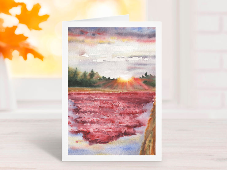 Sunset Cranberry Bog 5x7 Blank Greeting Card