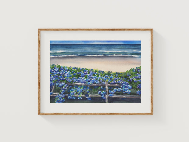 Coastal Blue Hydrangeas 5x7 in, 8x10 or 11x14 Fine Art Print