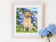 Hydrangea Golden Fine Art Print and Greeting Card
