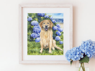 Hydrangea Golden Fine Art Print and Greeting Card