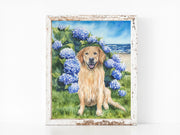 Hydrangea Golden Fine Art Print and Greeting Card