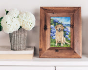 Hydrangea Golden Fine Art Print and Greeting Card