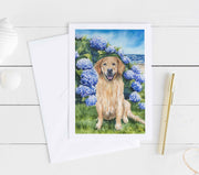 Hydrangea Golden Fine Art Print and Greeting Card