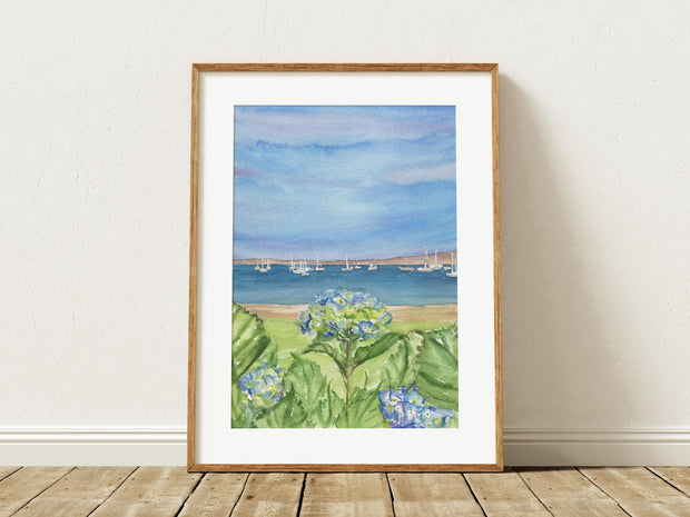 Hyannis Hydrangeas 5x7, 8x10 or 11x14 in. Fine Art Print
