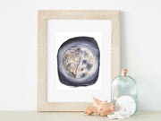 Oyster Moon 5x7 or 8x10 Fine Art Print