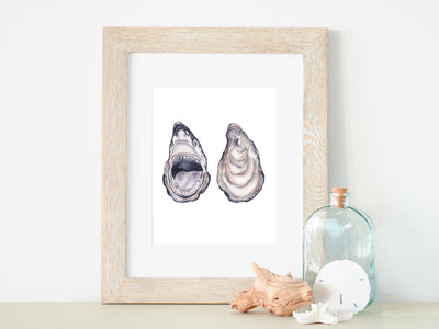 Oyster Shark 5x7 or 8x10 Fine Art Print