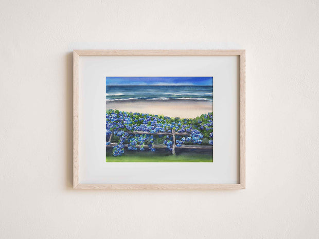 Coastal Blue Hydrangeas 5x7 in, 8x10 or 11x14 Fine Art Print