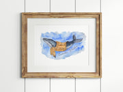 Sweata Weatha Whale  8x10 or 5x7 in. Fine Art Print