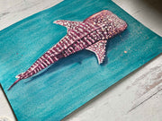 MetallicWhale Shark  Original Watercolor Painting