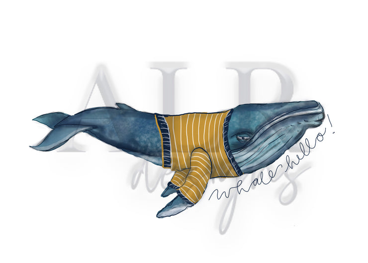 Whale Hello with Shirt 5x7 Blank Greeting Card