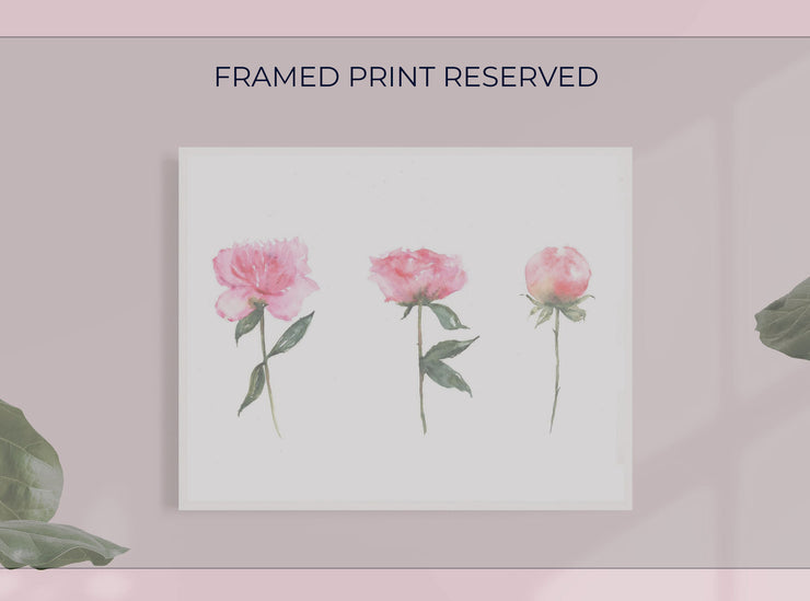 Framed Pink Peonies 8x10 print, RESERVED