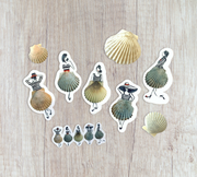 Shell Lady Stickers!