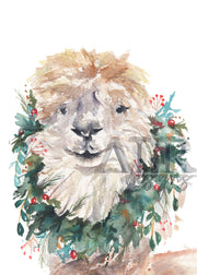 Alpaca Christmas 5x7 Blank Greeting Card