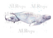 Beluga Mom 5x7 Blank Greeting Card