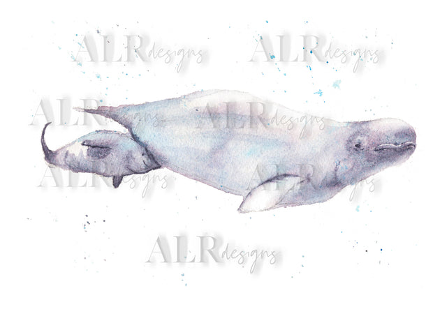 Beluga Mom 5x7 Blank Greeting Card