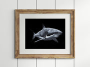 Shark in the Dark Coastal Watercolor Print  11x14 Fine Art by ALR Designs