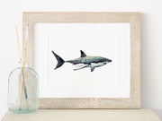 Blue-Green  Shark  Fine Art Print, 8x10 or 5x7 in.