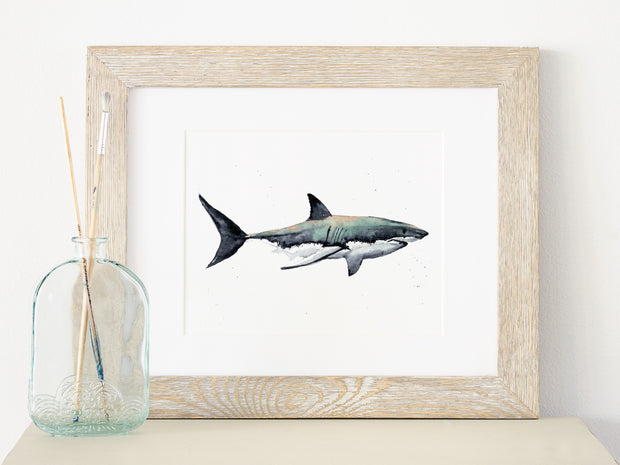 Blue-Green  Shark  Fine Art Print, 8x10 or 5x7 in.