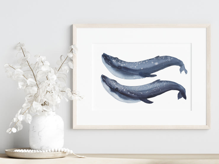 Blue Whales 8x10 or 5x7 in Fine Art Print
