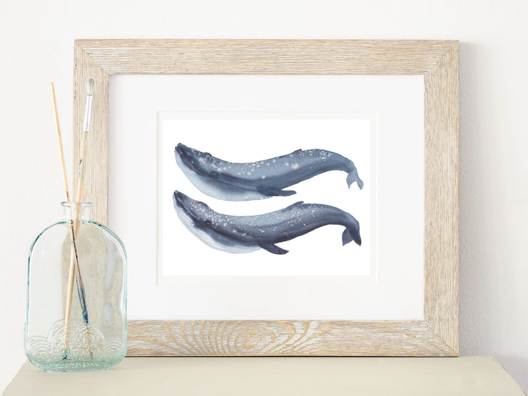 Blue Whales 8x10 or 5x7 in Fine Art Print