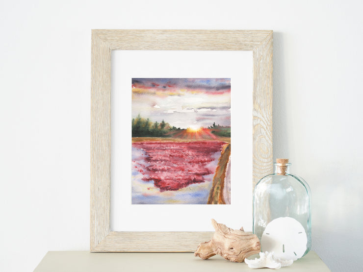 Evening Cranberry Bog Harvest  8x10 or 5x7 in. Fine Art Print