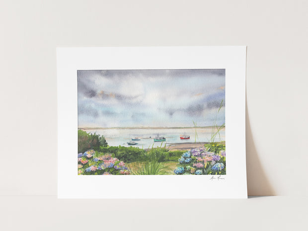 Chatham Hydrangeas 5x7 Matted Archival Print