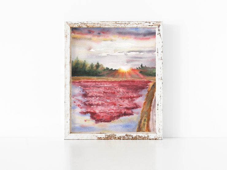Evening Cranberry Bog Harvest  8x10 or 5x7 in. Fine Art Print