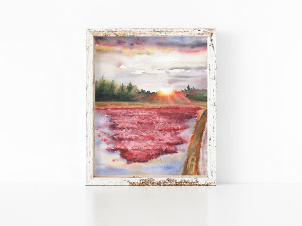 "Cranberry Bogs" 5x7" or 8x10" Set of 2, Fine Art Prints