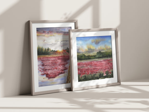 "Cranberry Bogs" 5x7" or 8x10" Set of 2, Fine Art Prints