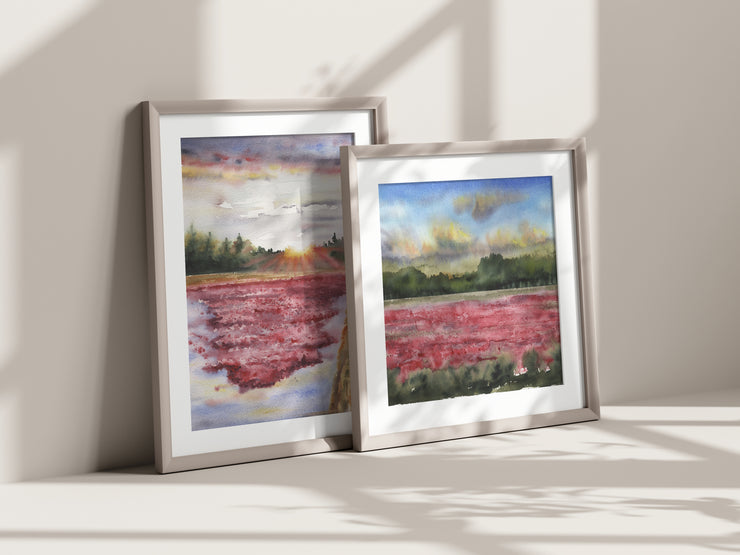 "Cranberry Bogs" 5x7" or 8x10" Set of 2, Fine Art Prints