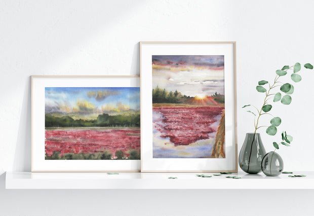 "Cranberry Bogs" 5x7" or 8x10" Set of 2, Fine Art Prints