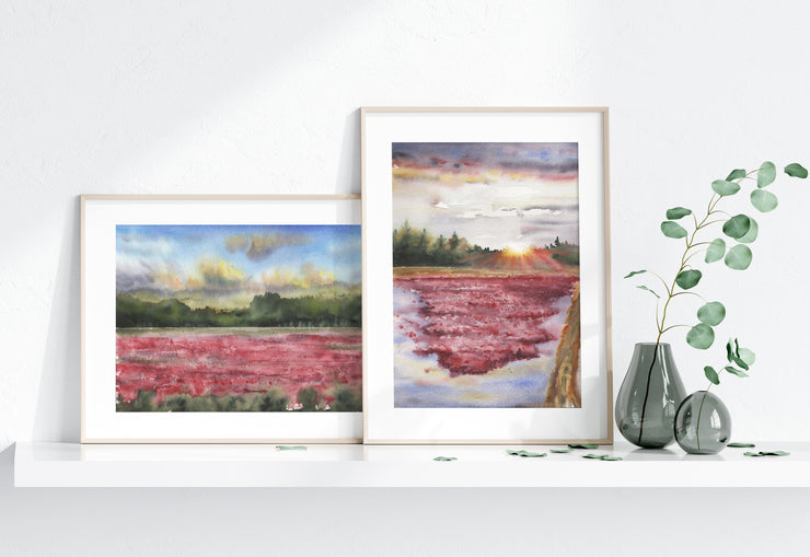 "Cranberry Bogs" 5x7" or 8x10" Set of 2, Fine Art Prints