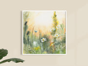 Morning Daisies 12x12 or 10x10 in. Fine Art Print