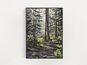 Forest Light 8x10 or 5x7 in Fine Art Print