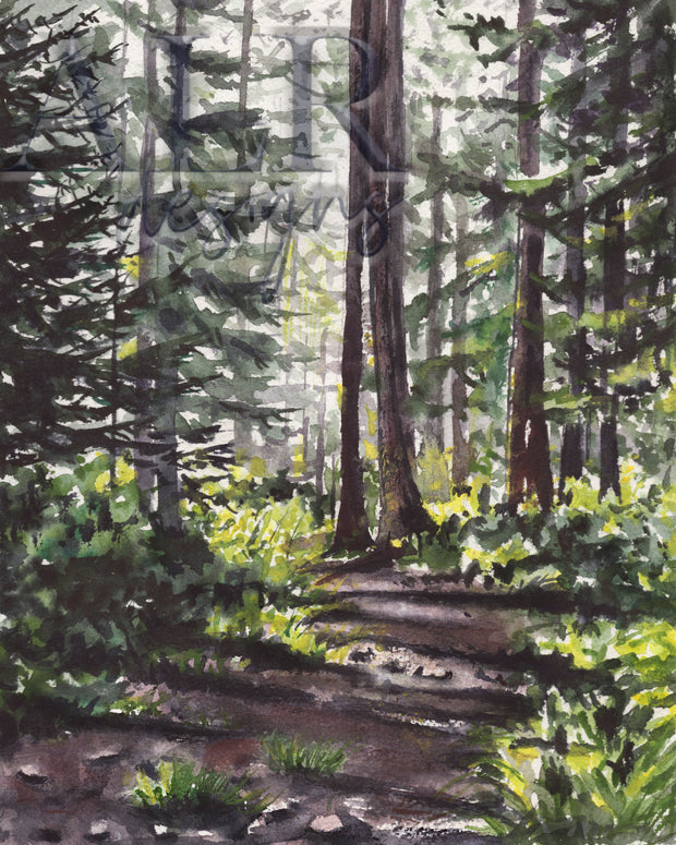 Forest Light 8x10 or 5x7 in Fine Art Print