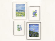 Hydrangea Gallery Set, 5x7 and 8x10 print set.